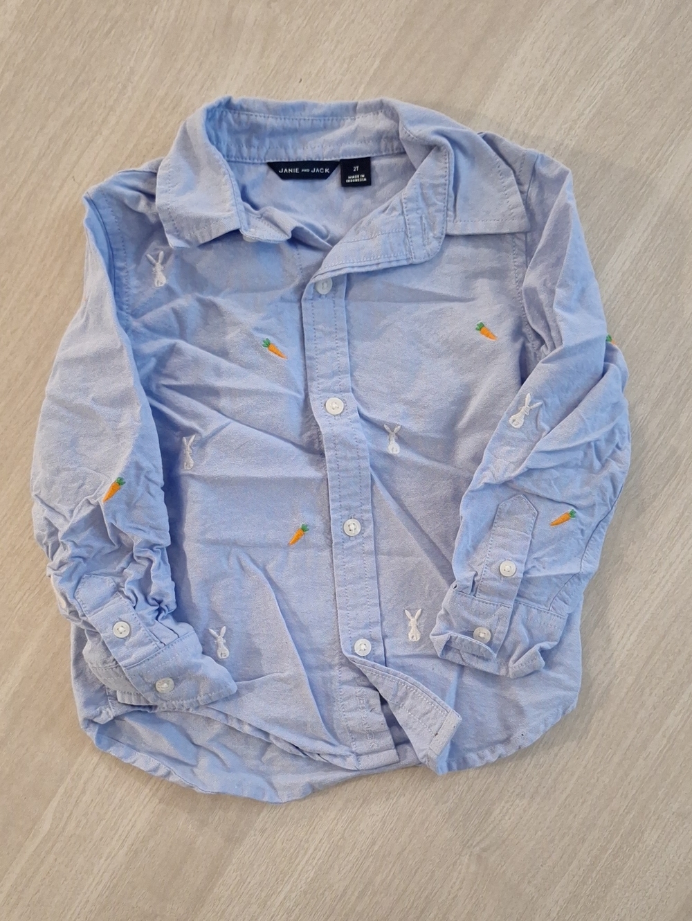 Janie and Jack Light Blue Button-Down Shirt with Bunny & Carrot Embroidery